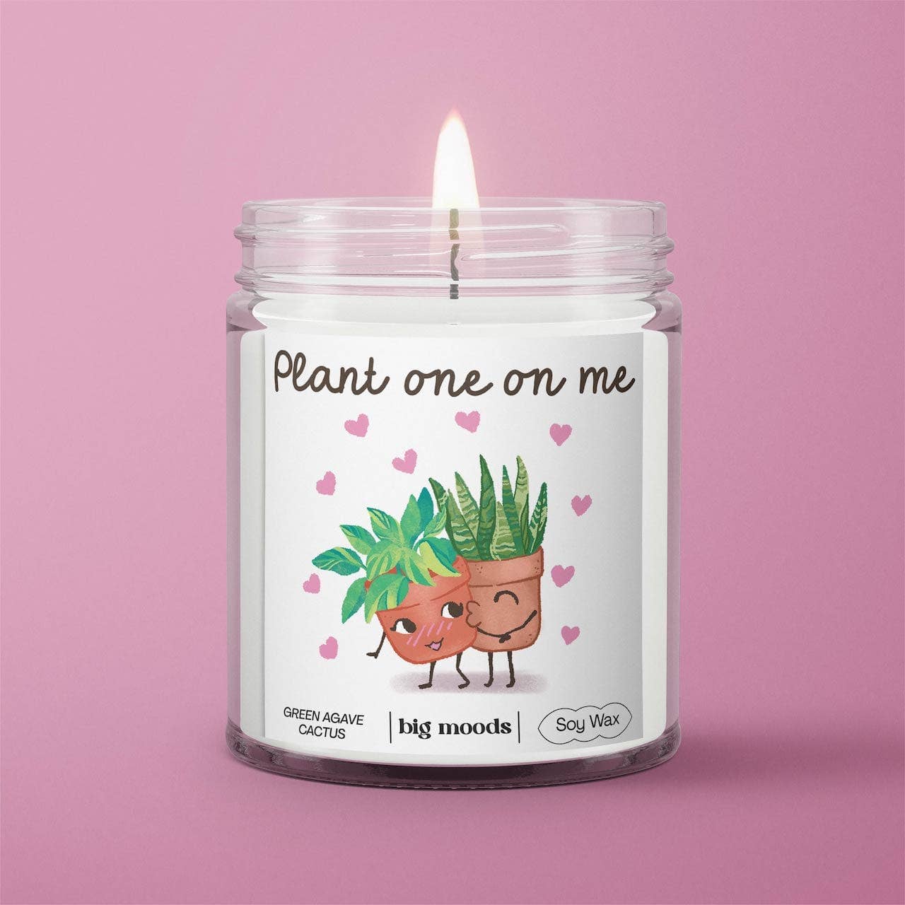 "Plant One On Me" Green Agave Cactus  - 5oz Soy Candle