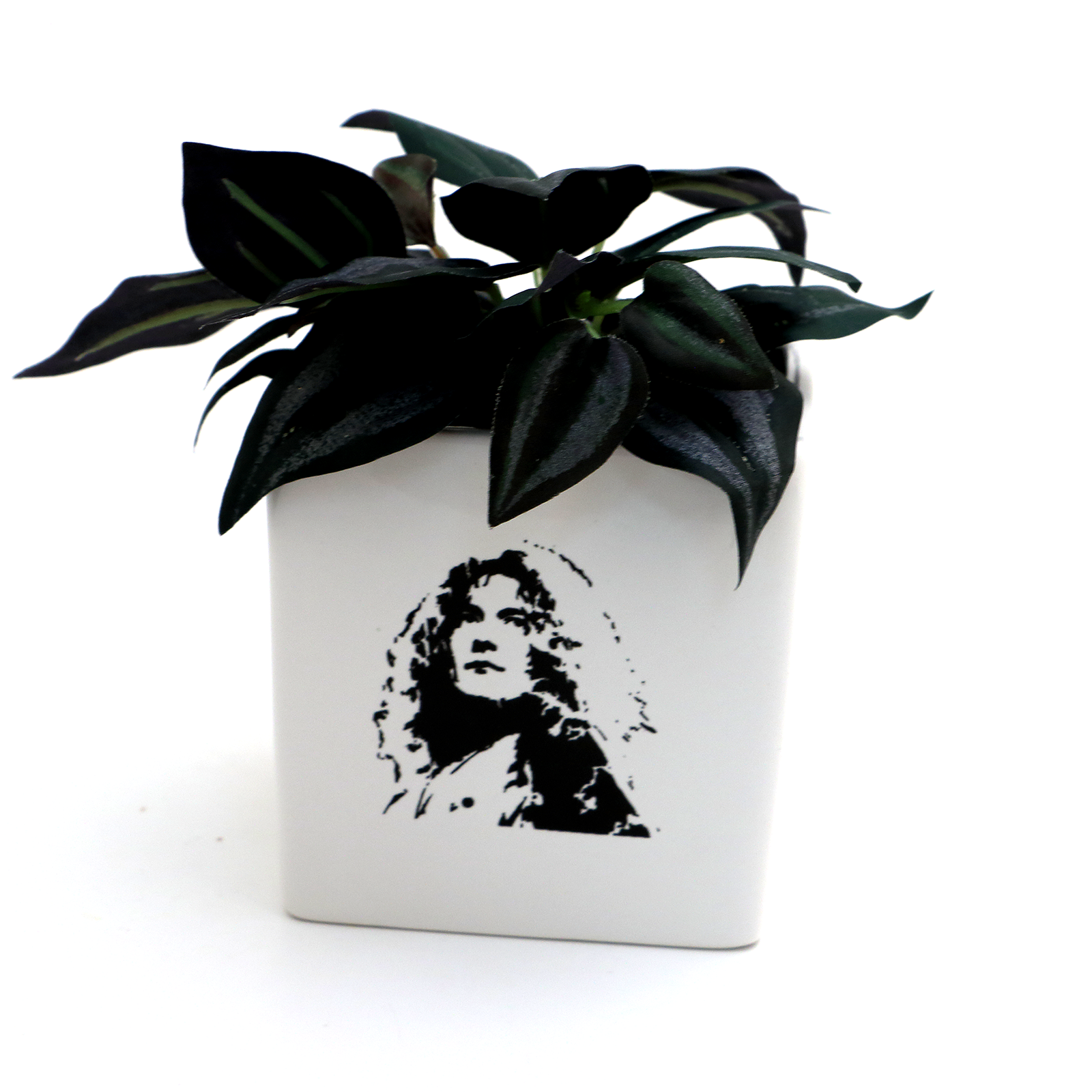 Robert Plant Planter