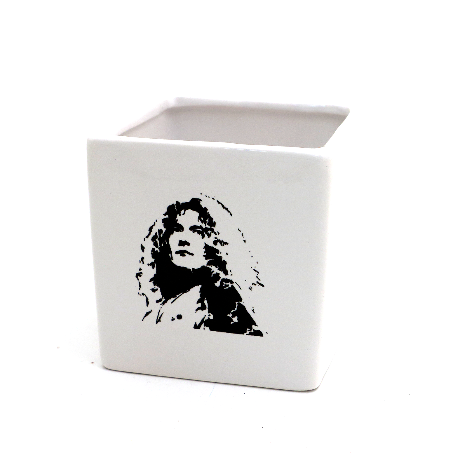 Robert Plant Planter