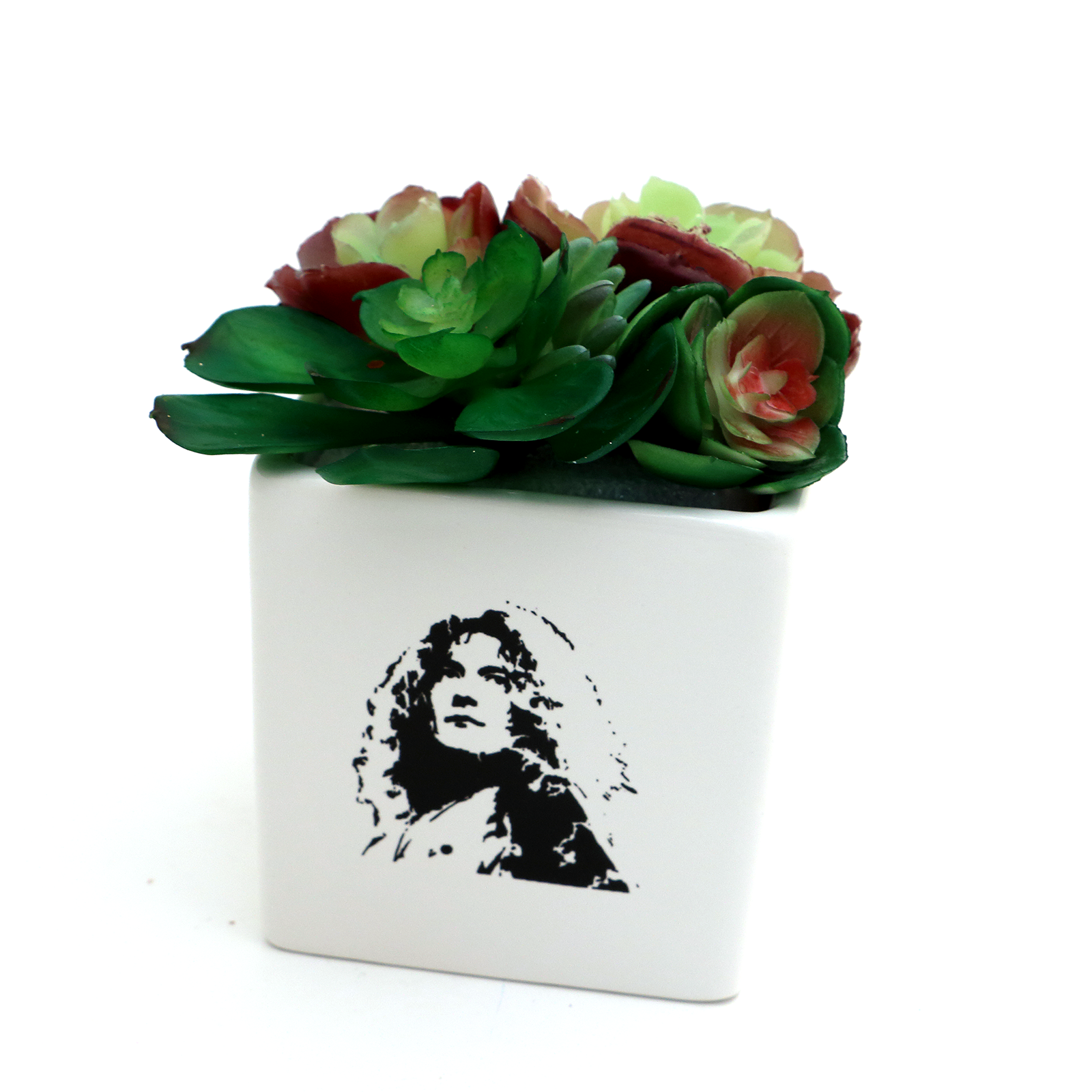 Robert Plant Planter