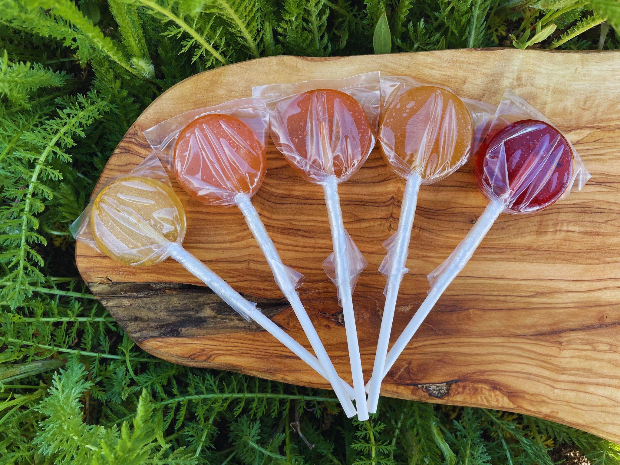 Plants & Planets Lollipops (Vegan)